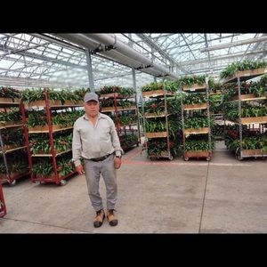 Meet your Posher, Adalberto